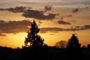 Winterzon en woenstijnzand - Beringen