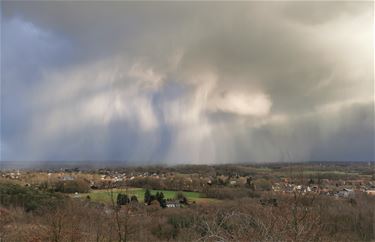 Wisselvallig en guur - Beringen