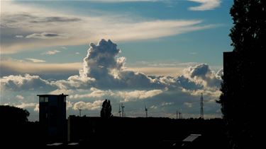 Wisselvallig weer - Beringen & Leopoldsburg