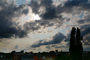 Wisselvallig weertje - Beringen & Leopoldsburg