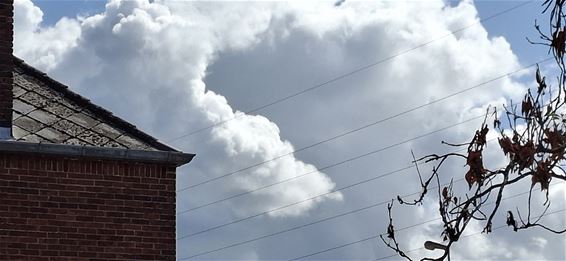 Witte wolken boven Pelt - Pelt