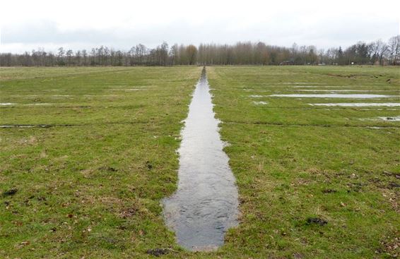 Witteren en wandelen in de wateringen - Lommel