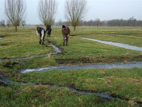 Witteren erkend als  immaterieel erfgoed - Lommel