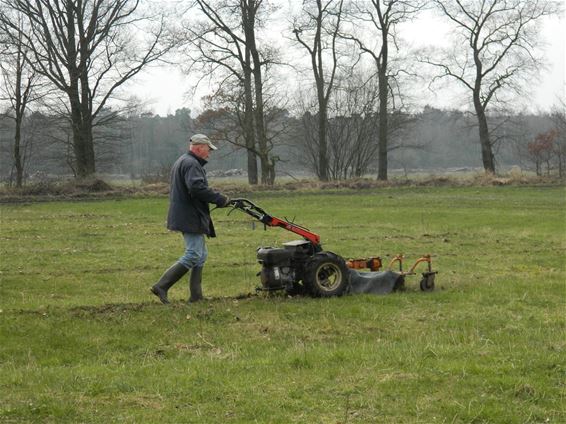 Witteren in de Vloeiweiden - Lommel