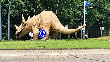 Woensdagtrappers op ontdekkingstocht in Boxtel - Pelt