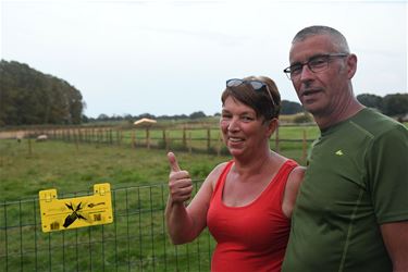 Wolf Fencing Team heeft de handen vol