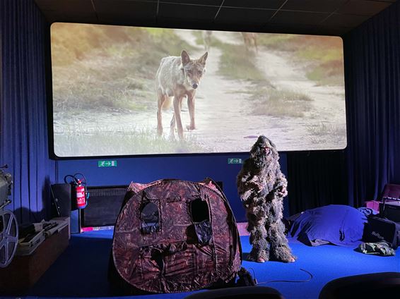 Oudsbergen - WOLF: unieke film over de komst van de wolf