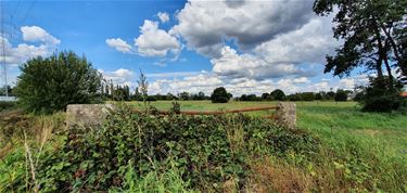 Wolken, regen en zon - Beringen