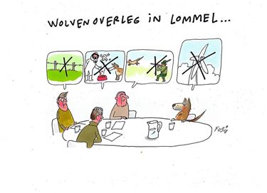 Wolvenoverleg in Lommel... (2)