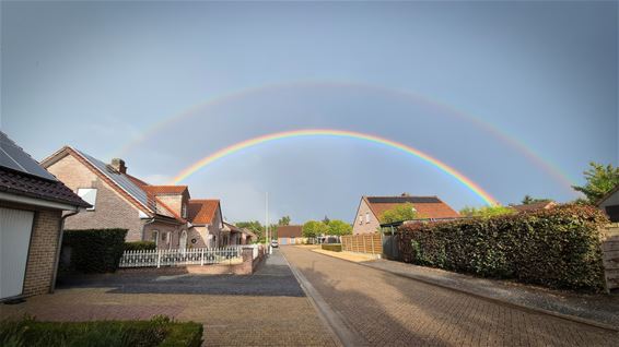 Wonderlijke natuur in Lommel - Lommel