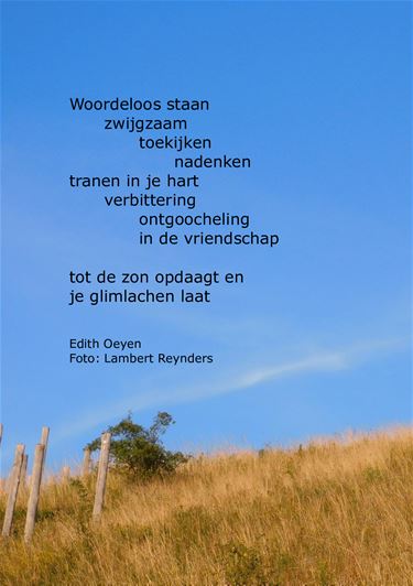 Woordeloos - Beringen & Leopoldsburg