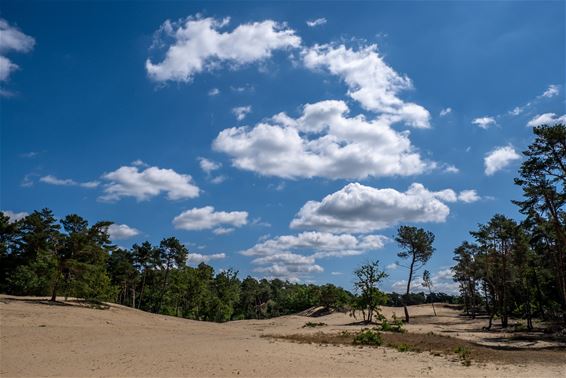 Word ambassadeur van Nationaal Park Bosland - Hechtel-Eksel