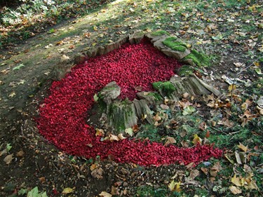 Workshop 'Kunst in de natuur' - Pelt