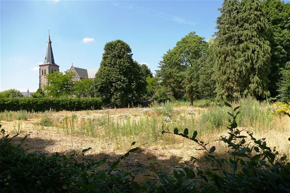 WZC-project in SHLille in de startblokken - Neerpelt