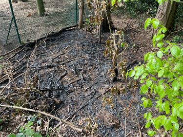 Code oranje in bos- en natuurgebieden