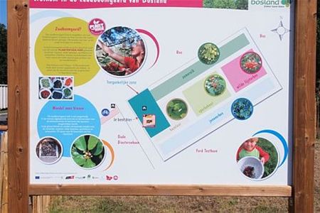 Zaadboomgaard in Bosland geopend
