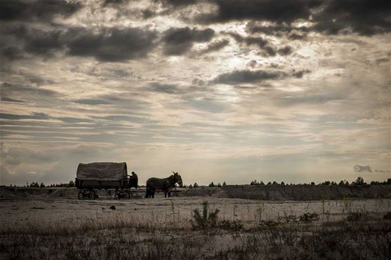 Zebracinema: 'Brimstone' - Neerpelt