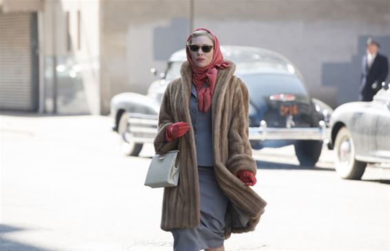 Zebracinema: 'Carol' - Neerpelt