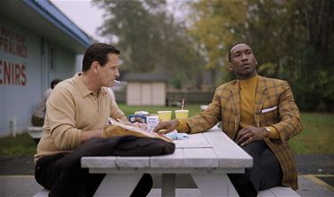 Zebracinema: 'Green Book' - Pelt