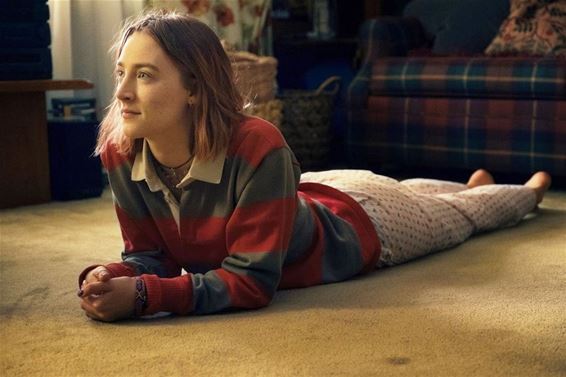 Zebracinema: 'Lady Bird' - Neerpelt