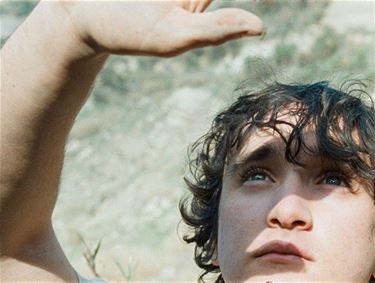 Zebracinema: 'Lazzaro Felice' - Neerpelt