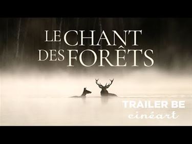 Zebracinema: Le Chant des forêts - Pelt