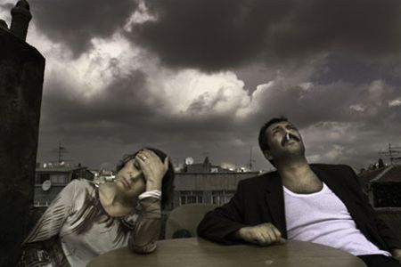 Zebracinema morgen: 'Three Monkeys' - Hechtel-Eksel & Pelt