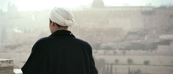 Zebracinema: 'Mountain (Ha'har)' - Neerpelt
