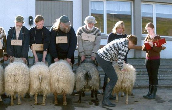 Zebracinema: 'Rams' - Neerpelt