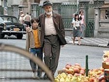 Zebracinema: The Year... - Hamont-Achel & Pelt