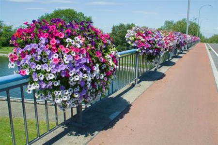 Zeg het met bloemen - Neerpelt