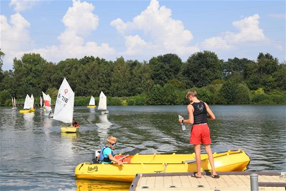 Zeilkamp aan de Paalse Plas - Beringen