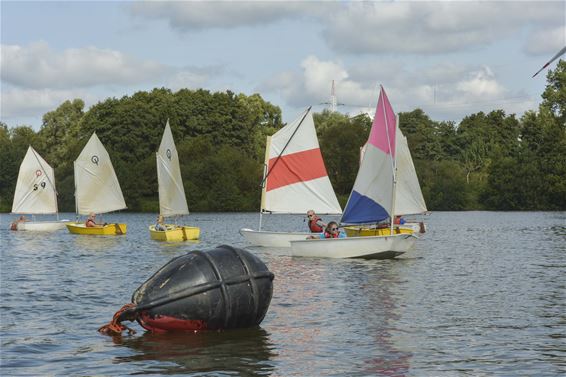 Zeilkamp Sirocco aan Paalse Plas - Beringen