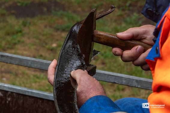 Zeisdag Vloeiweiden: natte voeten, scherpe snedes - Lommel
