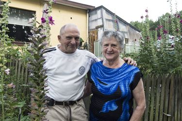 Zeldzame bloem bij Jeanke in Koersel - Beringen