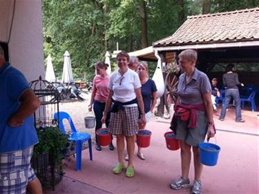 Zelfpluk blauwbessen gestart - Beringen