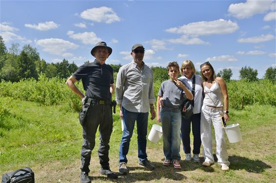 Zelfpluk Blueberry Fields gestart - Beringen