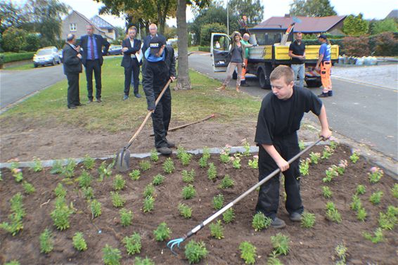 Zesduizend vlinderplantjes voor Lommelaren - Lommel