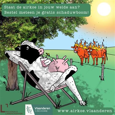 Zet de ‘airkoe’ aan in je weide! - Bocholt