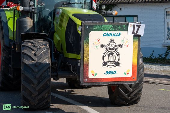 Zeven carnavalstoeten in Bocholt - Bocholt