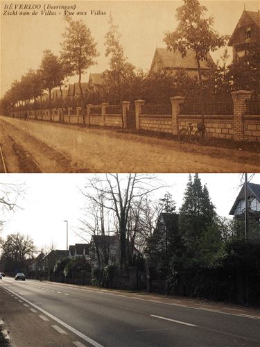 Zicht aan de villa's - Beringen