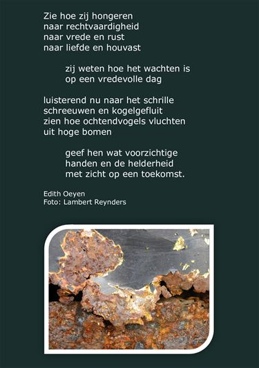 Beringen - Zie hoe zij hongeren