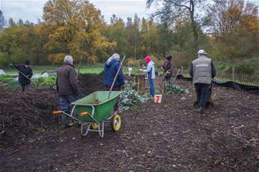 Zin om te tuinieren in een volkstuintje? - Beringen