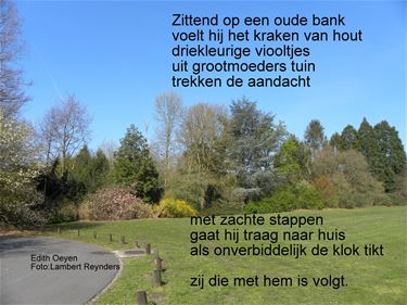 Zittend op een oude bank... - Beringen