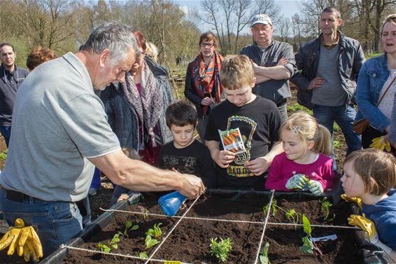 Zo start je een vierkantemeterbak - Beringen