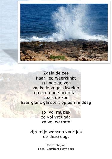 Zoals de zee - Beringen