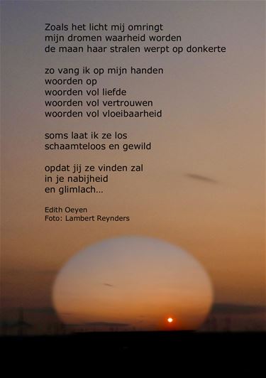 Zoals het licht mij omringt - Beringen & Leopoldsburg