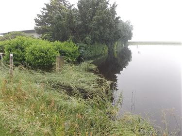 Zoek het huis... - Lommel
