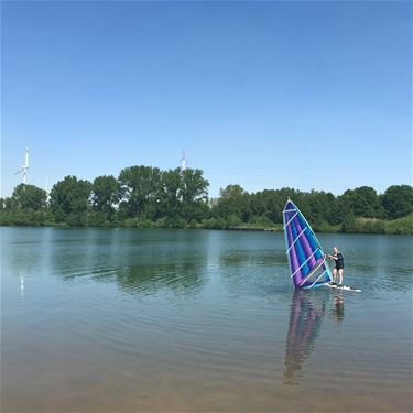 Zomer aan de Paalse Plas - Beringen