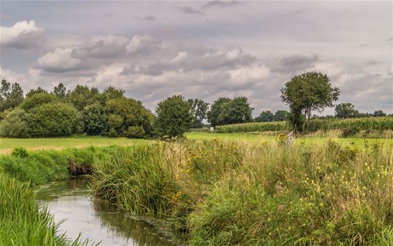 Zomer in de Dommelvallei - Overpelt